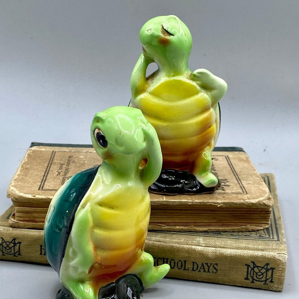 salt and pepper Turtles Salt and Pepper shakers  Adorable faces